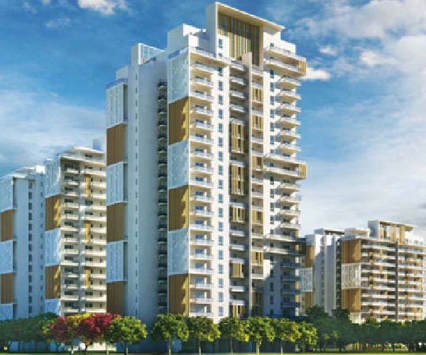 Dews Gurgaon